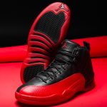 Air Jordan 12 retro flu game