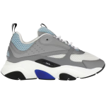 Dior b22 Trainer white blue
